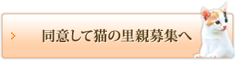 同意して猫の里親募集へ