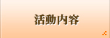 活動内容